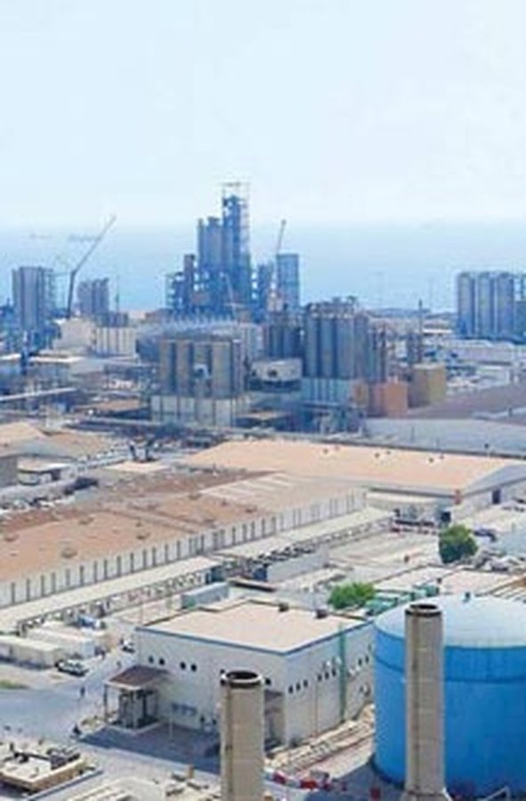 Petrochemical plant services